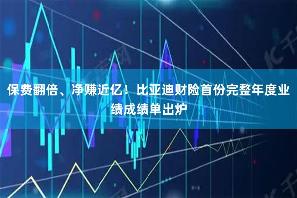 保费翻倍、净赚近亿!比亚迪财险首份完整年度业绩成绩单出炉